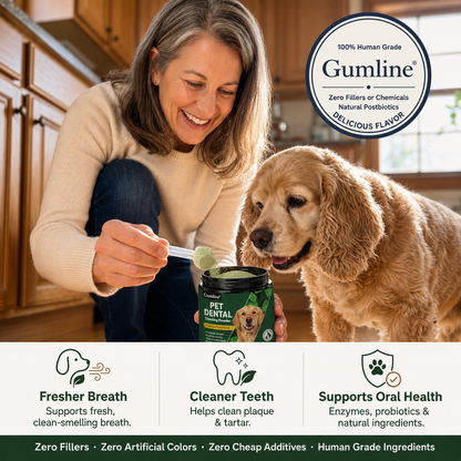 Daily Dental Powder