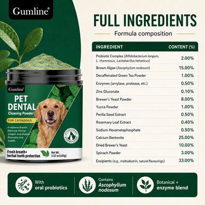 Daily Dental Powder