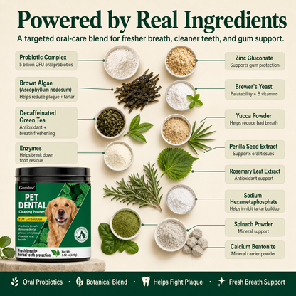 Daily Dental Powder