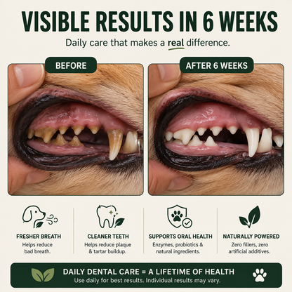 Daily Dental Powder